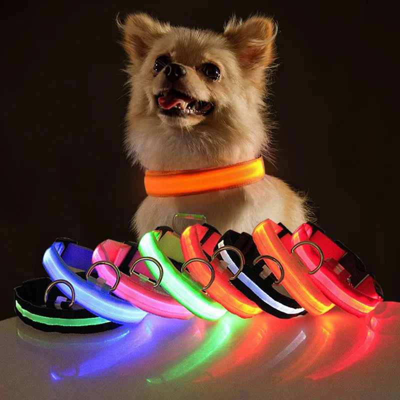 LED Hundehalsband - Sicher unterwegs