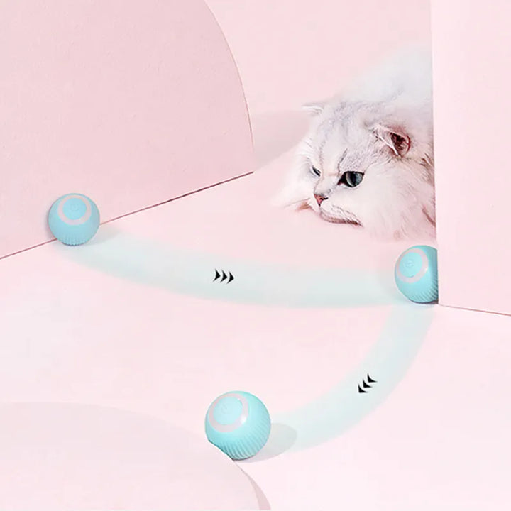 Intelligentes Katzenspielzeug - Gravitationsball